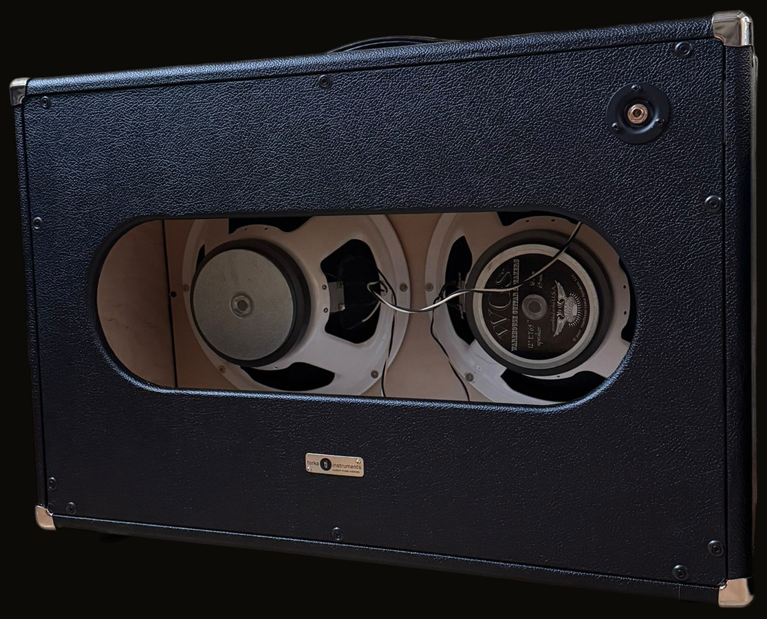 2×12 black cabinet — back, twin G12-65 speakers
